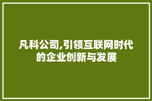 凡科公司,引领互联网时代的企业创新与发展