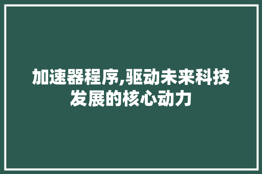 加速器程序,驱动未来科技发展的核心动力