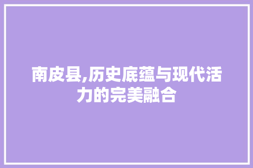 南皮县,历史底蕴与现代活力的完美融合