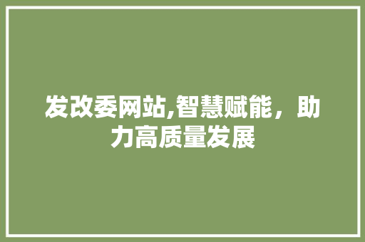 发改委网站,智慧赋能，助力高质量发展