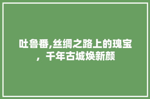 吐鲁番,丝绸之路上的瑰宝，千年古城焕新颜