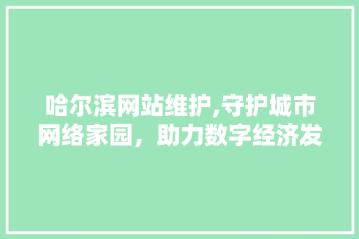 哈尔滨网站维护,守护城市网络家园，助力数字经济发展