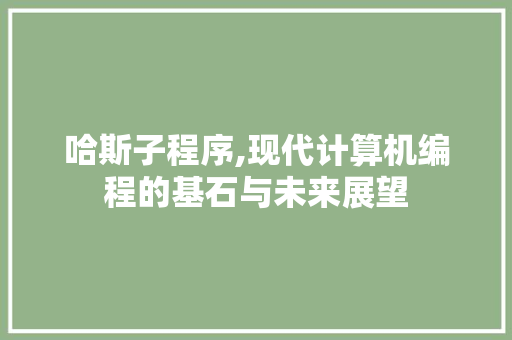 哈斯子程序,现代计算机编程的基石与未来展望