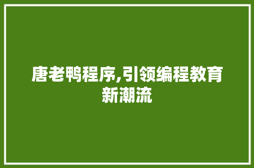 唐老鸭程序,引领编程教育新潮流