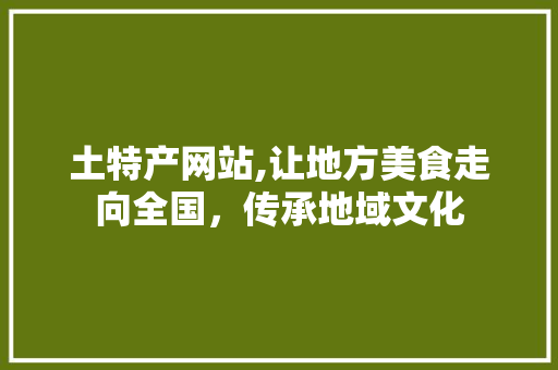 土特产网站,让地方美食走向全国，传承地域文化