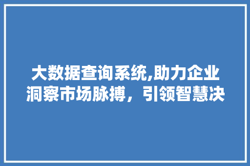 大数据查询系统,助力企业洞察市场脉搏，引领智慧决策新时代