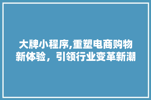 大牌小程序,重塑电商购物新体验，引领行业变革新潮流