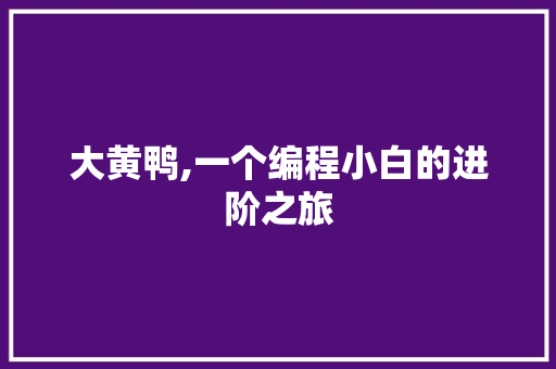 大黄鸭,一个编程小白的进阶之旅