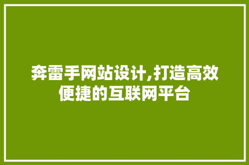 奔雷手网站设计,打造高效便捷的互联网平台