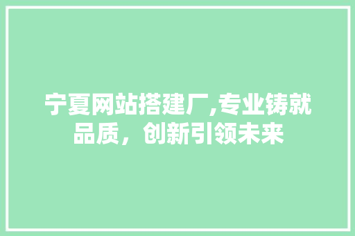 宁夏网站搭建厂,专业铸就品质，创新引领未来