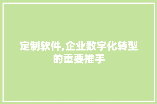 定制软件,企业数字化转型的重要推手