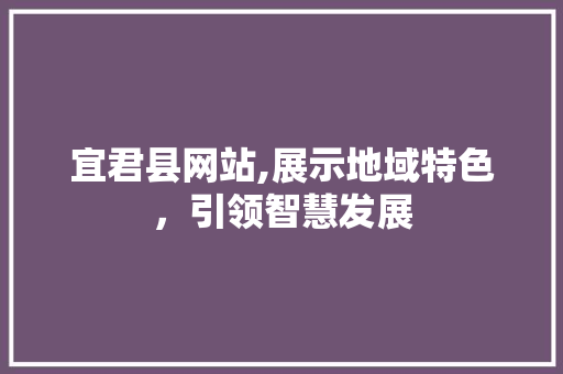 宜君县网站,展示地域特色，引领智慧发展