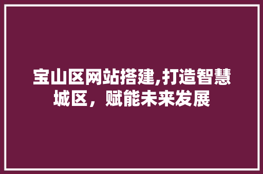 宝山区网站搭建,打造智慧城区，赋能未来发展