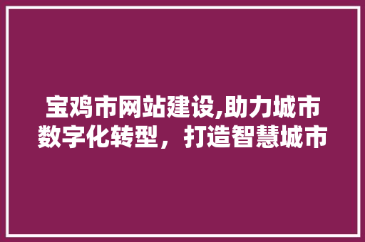 宝鸡市网站建设,助力城市数字化转型，打造智慧城市新名片