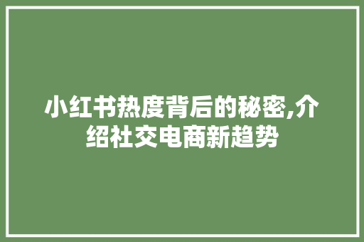 小红书热度背后的秘密,介绍社交电商新趋势