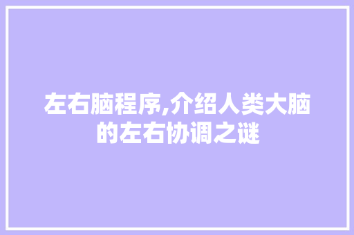 左右脑程序,介绍人类大脑的左右协调之谜