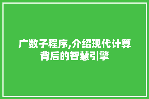 广数子程序,介绍现代计算背后的智慧引擎