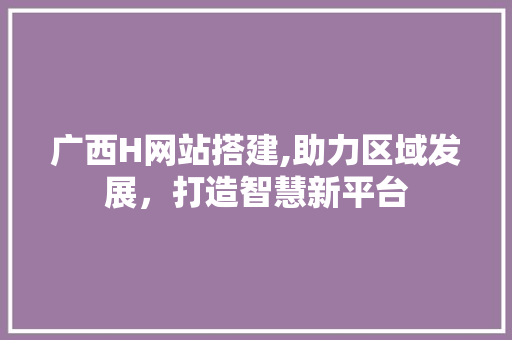 广西H网站搭建,助力区域发展，打造智慧新平台