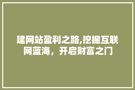 建网站盈利之路,挖掘互联网蓝海，开启财富之门