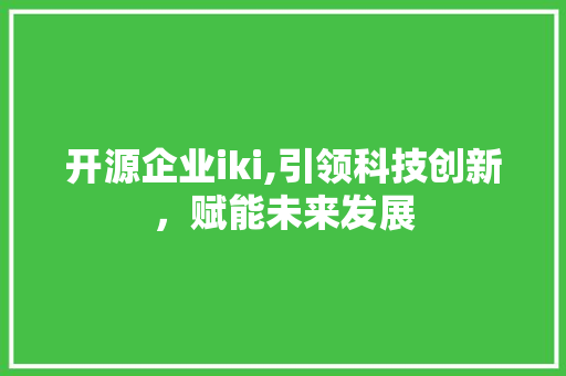 开源企业iki,引领科技创新，赋能未来发展