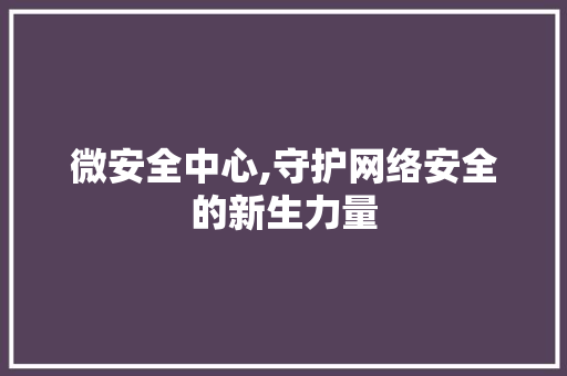 微安全中心,守护网络安全的新生力量