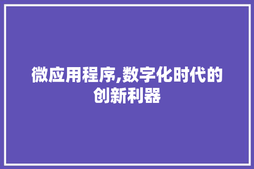 微应用程序,数字化时代的创新利器