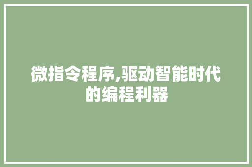 微指令程序,驱动智能时代的编程利器