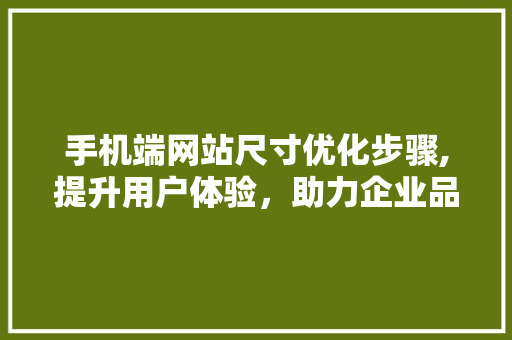 手机端网站尺寸优化步骤,提升用户体验，助力企业品牌形象塑造