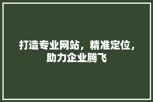 打造专业网站，精准定位，助力企业腾飞