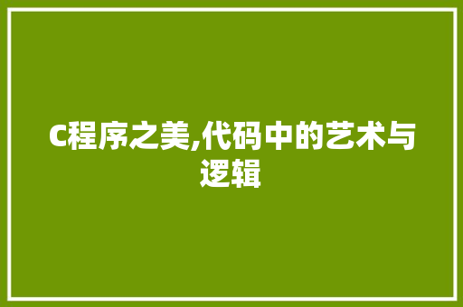 C程序之美,代码中的艺术与逻辑