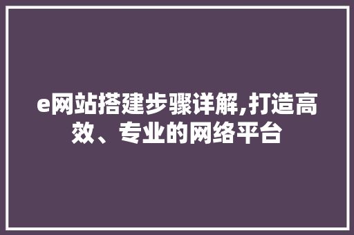 e网站搭建步骤详解,打造高效、专业的网络平台