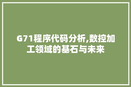 G71程序代码分析,数控加工领域的基石与未来