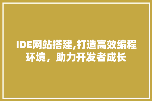 IDE网站搭建,打造高效编程环境，助力开发者成长