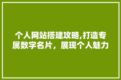 个人网站搭建攻略,打造专属数字名片，展现个人魅力