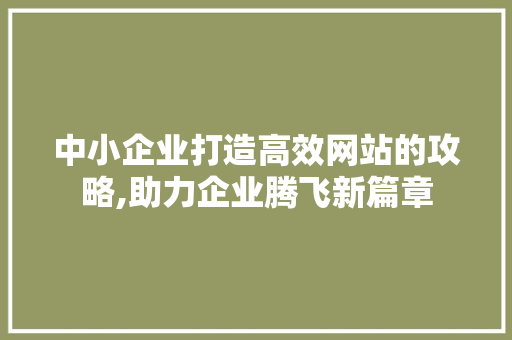 中小企业打造高效网站的攻略,助力企业腾飞新篇章