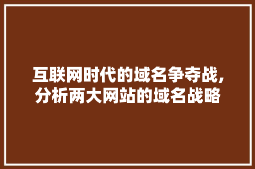 互联网时代的域名争夺战,分析两大网站的域名战略