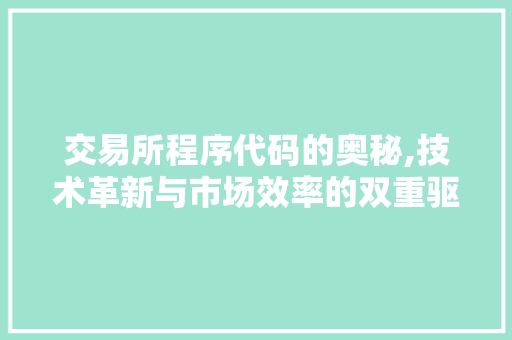 交易所程序代码的奥秘,技术革新与市场效率的双重驱动