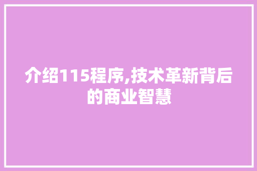 介绍115程序,技术革新背后的商业智慧