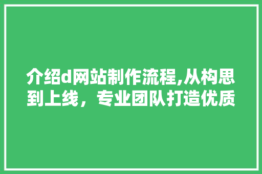 介绍d网站制作流程,从构思到上线，专业团队打造优质网站