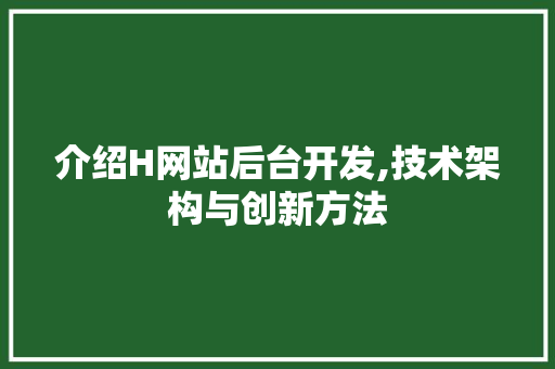 介绍H网站后台开发,技术架构与创新方法