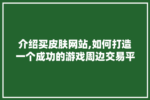 介绍买皮肤网站,如何打造一个成功的游戏周边交易平台