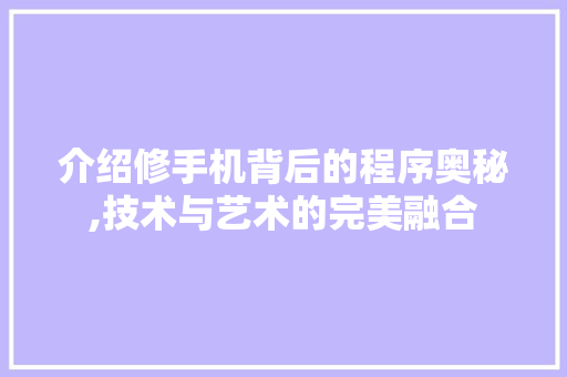 介绍修手机背后的程序奥秘,技术与艺术的完美融合