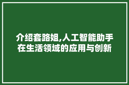 介绍套路姐,人工智能助手在生活领域的应用与创新