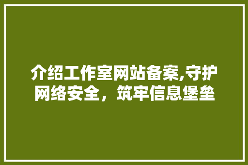 介绍工作室网站备案,守护网络安全，筑牢信息堡垒