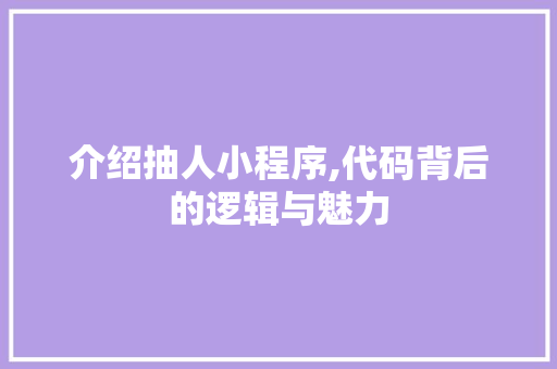 介绍抽人小程序,代码背后的逻辑与魅力