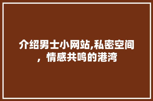 介绍男士小网站,私密空间，情感共鸣的港湾