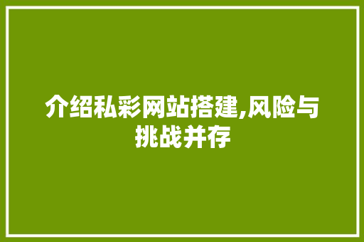 介绍私彩网站搭建,风险与挑战并存