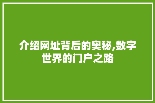 介绍网址背后的奥秘,数字世界的门户之路