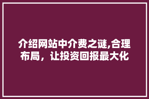 介绍网站中介费之谜,合理布局，让投资回报最大化