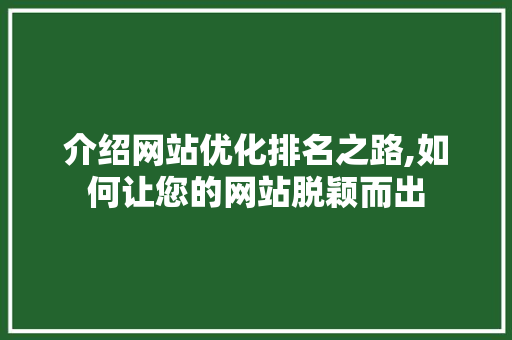 介绍网站优化排名之路,如何让您的网站脱颖而出